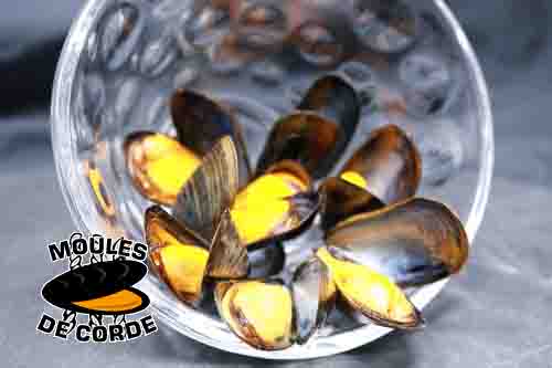 Longline Mussels